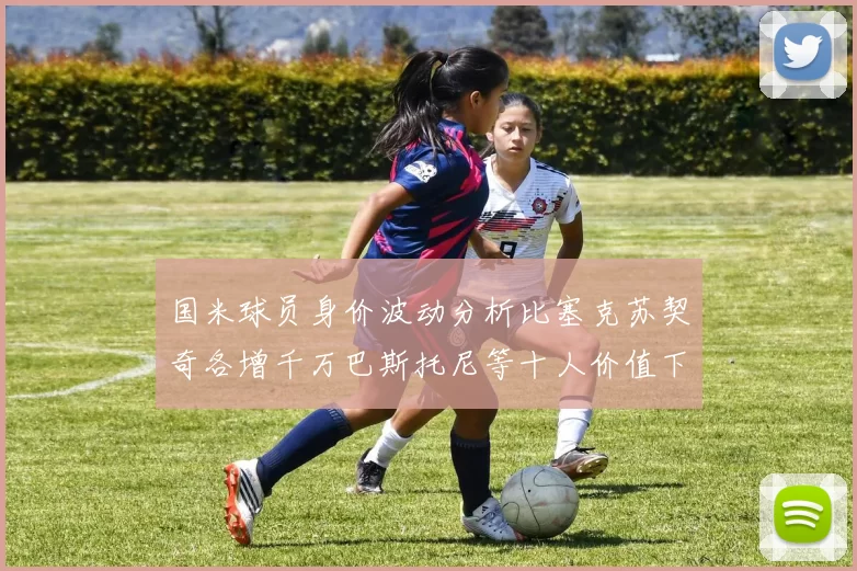 国米球员身价波动分析比塞克苏契奇各增千万巴斯托尼等十人价值下滑