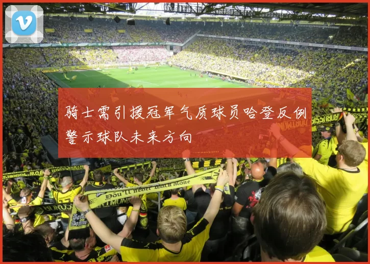 骑士需引援冠军气质球员哈登反例警示球队未来方向